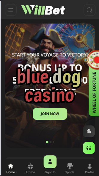 Blue Dog Casino - Trusted Online Gambling Site with Fast Payouts-casinoorder.vip